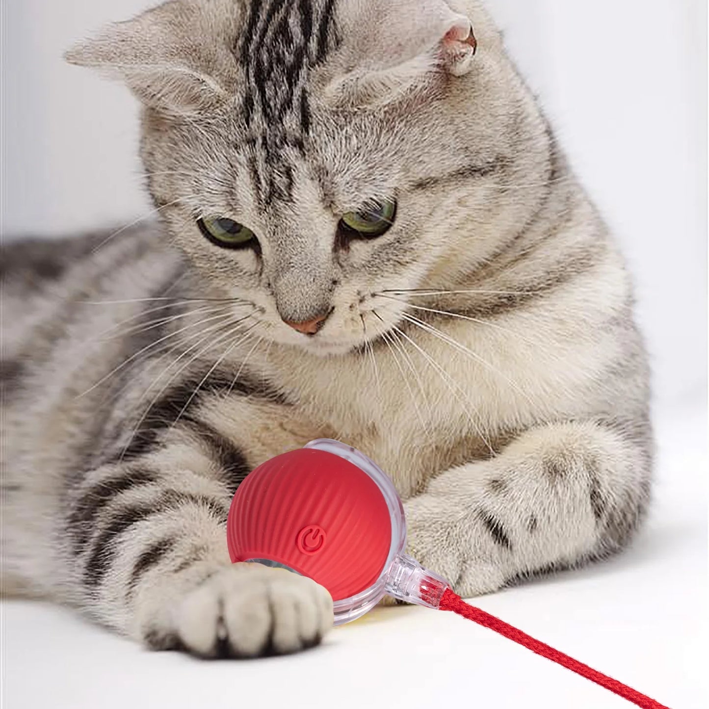 Interactive Dog Ball, Electric Dog Ball Toy, Interactive Rolling Dog Ball, Interactive Cat Toy Ball, Electric Rolling Ball Dog Toy, Smart Interactive Cat Toy Ball - AuraPetsInteractive Dog Ball, Electric Dog Ball Toy, Interactive Rolling Dog Ball, Interactive Cat Toy Ball, Electric Rolling Ball Dog Toy, Smart Interactive Cat Toy BallAuraPets