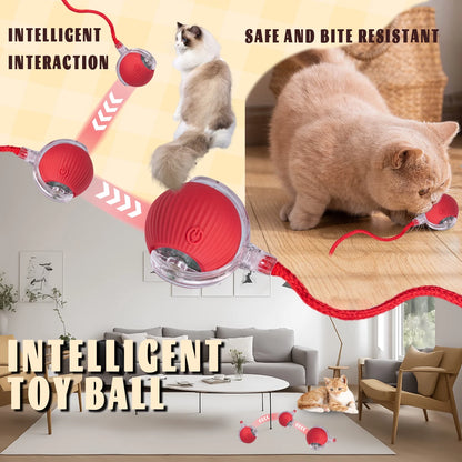 Interactive Dog Ball, Electric Dog Ball Toy, Interactive Rolling Dog Ball, Interactive Cat Toy Ball, Electric Rolling Ball Dog Toy, Smart Interactive Cat Toy Ball - AuraPetsInteractive Dog Ball, Electric Dog Ball Toy, Interactive Rolling Dog Ball, Interactive Cat Toy Ball, Electric Rolling Ball Dog Toy, Smart Interactive Cat Toy BallAuraPets
