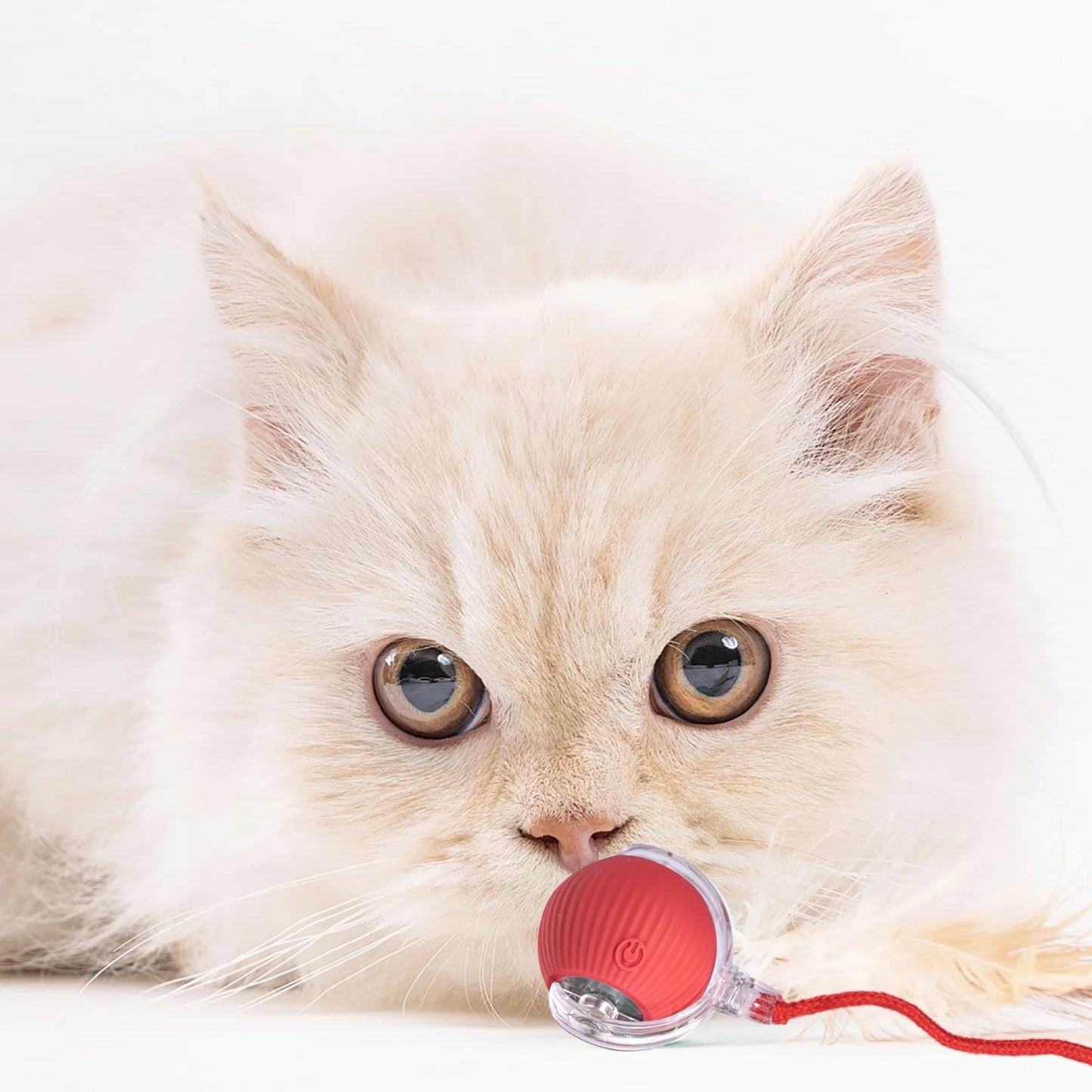 Interactive Dog Ball, Electric Dog Ball Toy, Interactive Rolling Dog Ball, Interactive Cat Toy Ball, Electric Rolling Ball Dog Toy, Smart Interactive Cat Toy Ball - AuraPetsInteractive Dog Ball, Electric Dog Ball Toy, Interactive Rolling Dog Ball, Interactive Cat Toy Ball, Electric Rolling Ball Dog Toy, Smart Interactive Cat Toy BallAuraPets