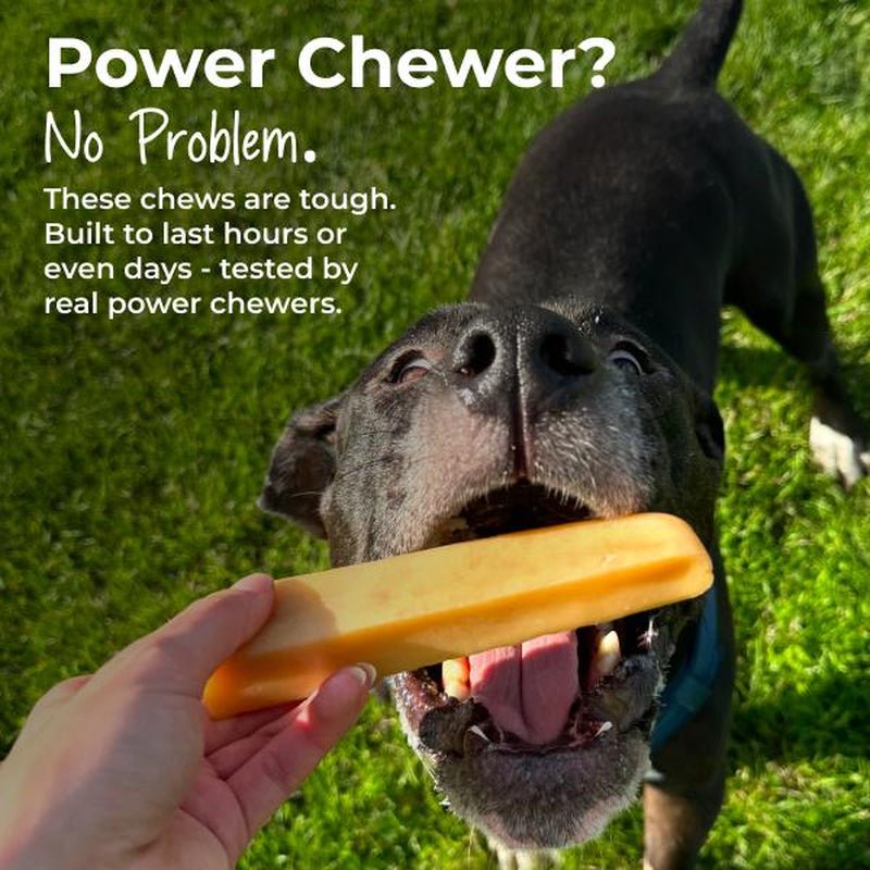 Mighty Paw Yak Cheese Dog Chews: All - Natural Treats for Your Pup - AuraPetsMighty Paw Yak Cheese Dog Chews: All - Natural Treats for Your PupAuraPets